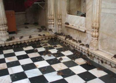 جالب ترین مکان های گردشگری که نباید به آنها دست زد جالب ترین مکان های گردشگری که نباید به آنها دست زد